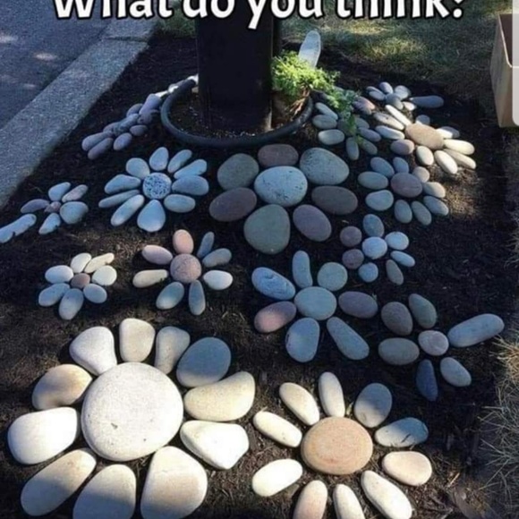 Meet your Posher, Anita - Picture 1 of 1